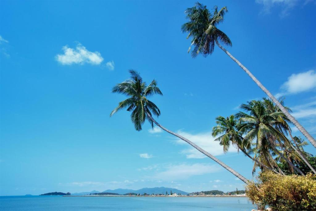Mm House Hotel Koh Samui Luaran gambar